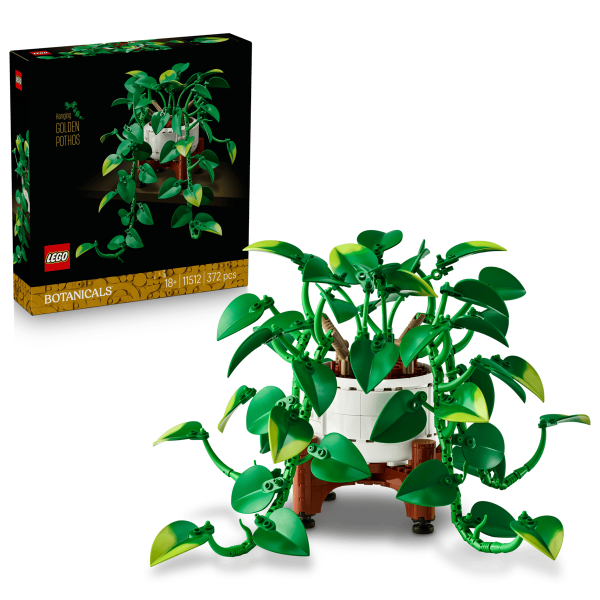 lego hanging golden pothos